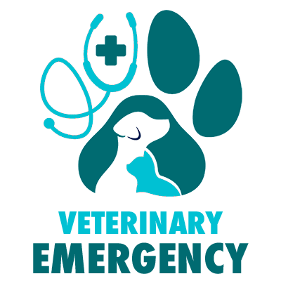 Vet Emergency in Manchester 24h/24 Vet Emergency in Manchester 24h/24